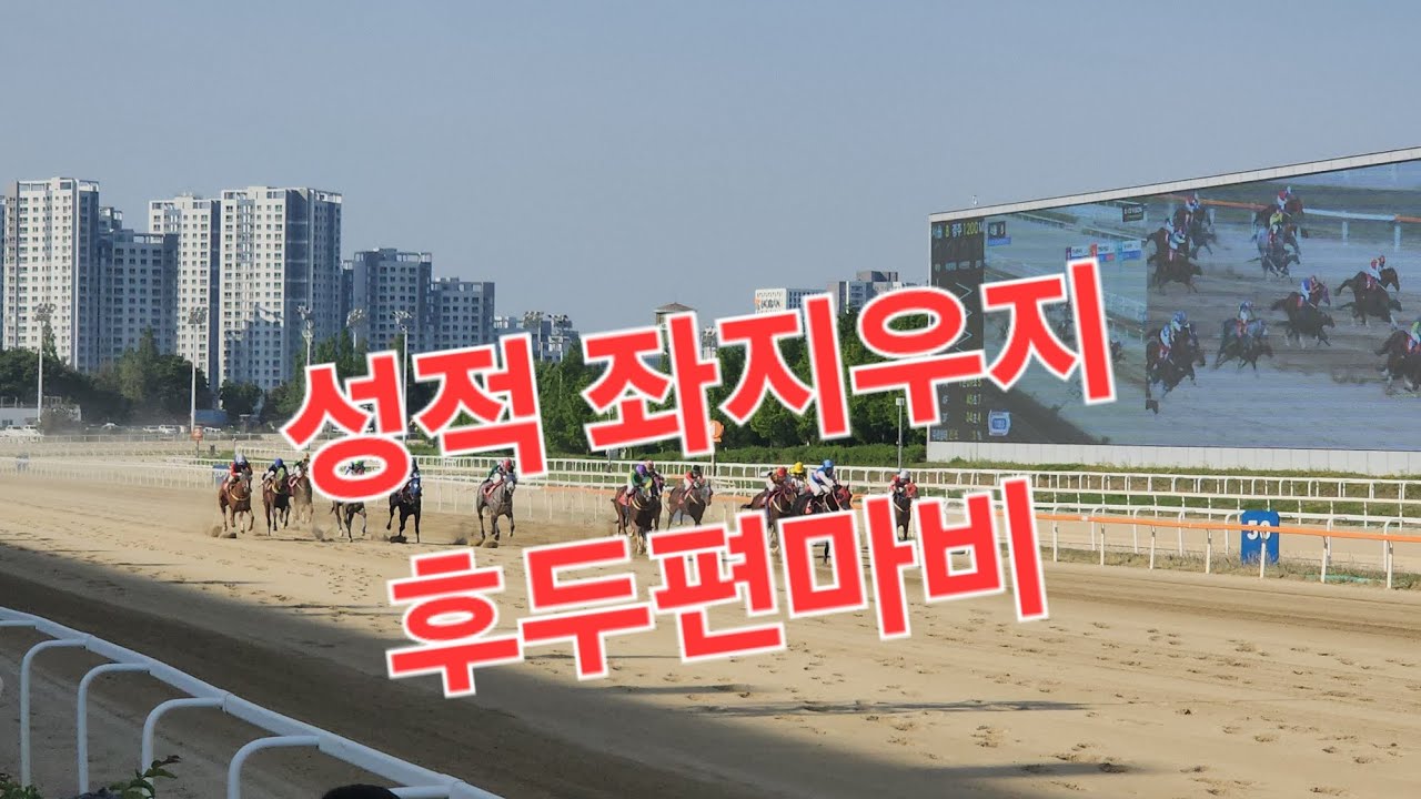 성적 좌지우지 질병