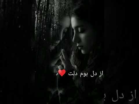 کبوتر دل من از لب بوم دلت نمیپره بیخود سنگ میزنی به پرم