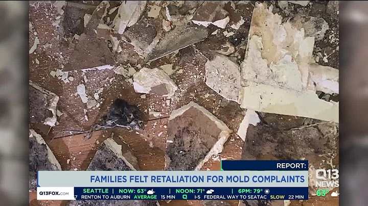 Army Inspector General report addresses housing and mold concerns at JBLM, other bases