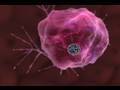 Video Journey Into Nanotechnology