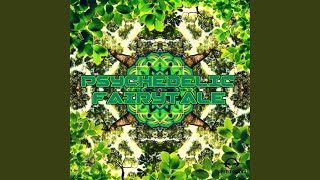 Information Forest Pixie (Original Mix) Guide