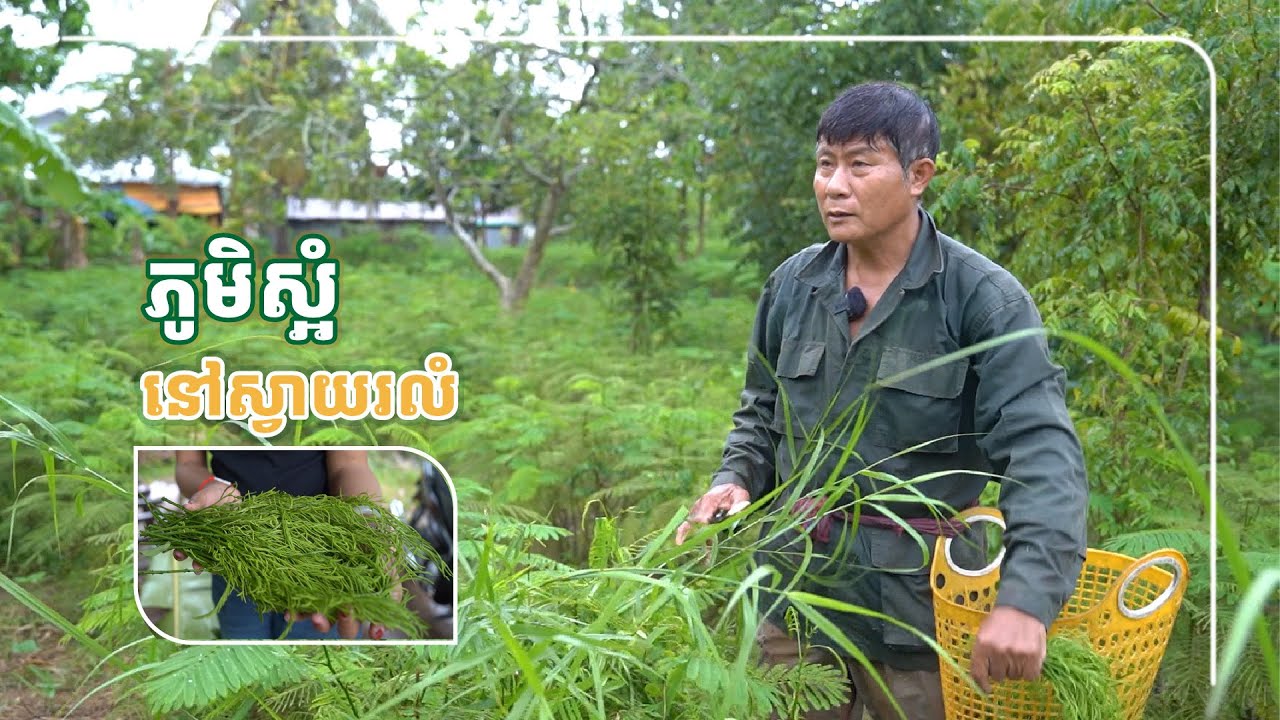 តស់ មកស្គាល់ភូមិ​ស្អំ នៅសង្កាត់ស្វាយរលំ ក្រុង​តាខ្មៅ