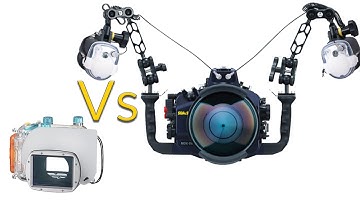 Compact VS Mirrorless for underwater