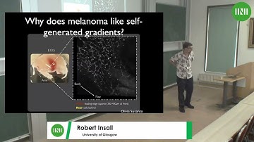 Prof. Robert Insall | Self-generated chemotactic gradients and receptor competition in collective...