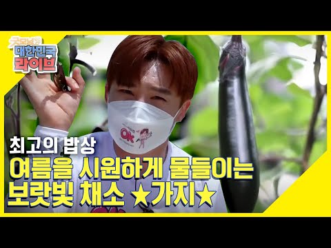 [최고의 밥상] 여름을 시원하게 물들이는 보랏빛 채소 ★가지★ KBS 210616 방송