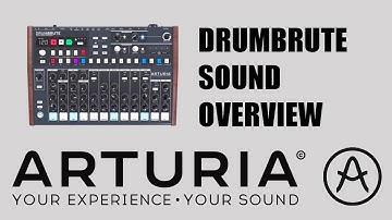 Arturia DrumBrute Analog Drum Machine Synthesizer Sound Demo Overview (NO TALKING)