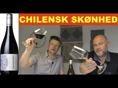 Video: 5 Rimelige Chilenske Viner Du Må Prøve