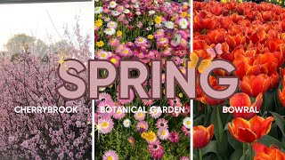 Spring in Sydney | Cherrybrook | Botanical Garden | Bowral | Criselda Lastimosa