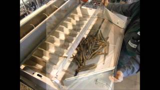 Affeldt Resale Gmbh - Testlauf Schwarzwurzeln