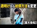 番外編 飼育員さんのほっぺをつねるパンチくん【番外編】【市川市動植物園】ニホンザル