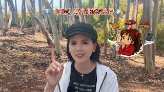 👑《道聽傳說》第5節 🗺️17CC  《當人生開始成功，心卻慢慢迷失… 😵‍💫》