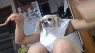 #Ахта м Смешно до слёз приколы...