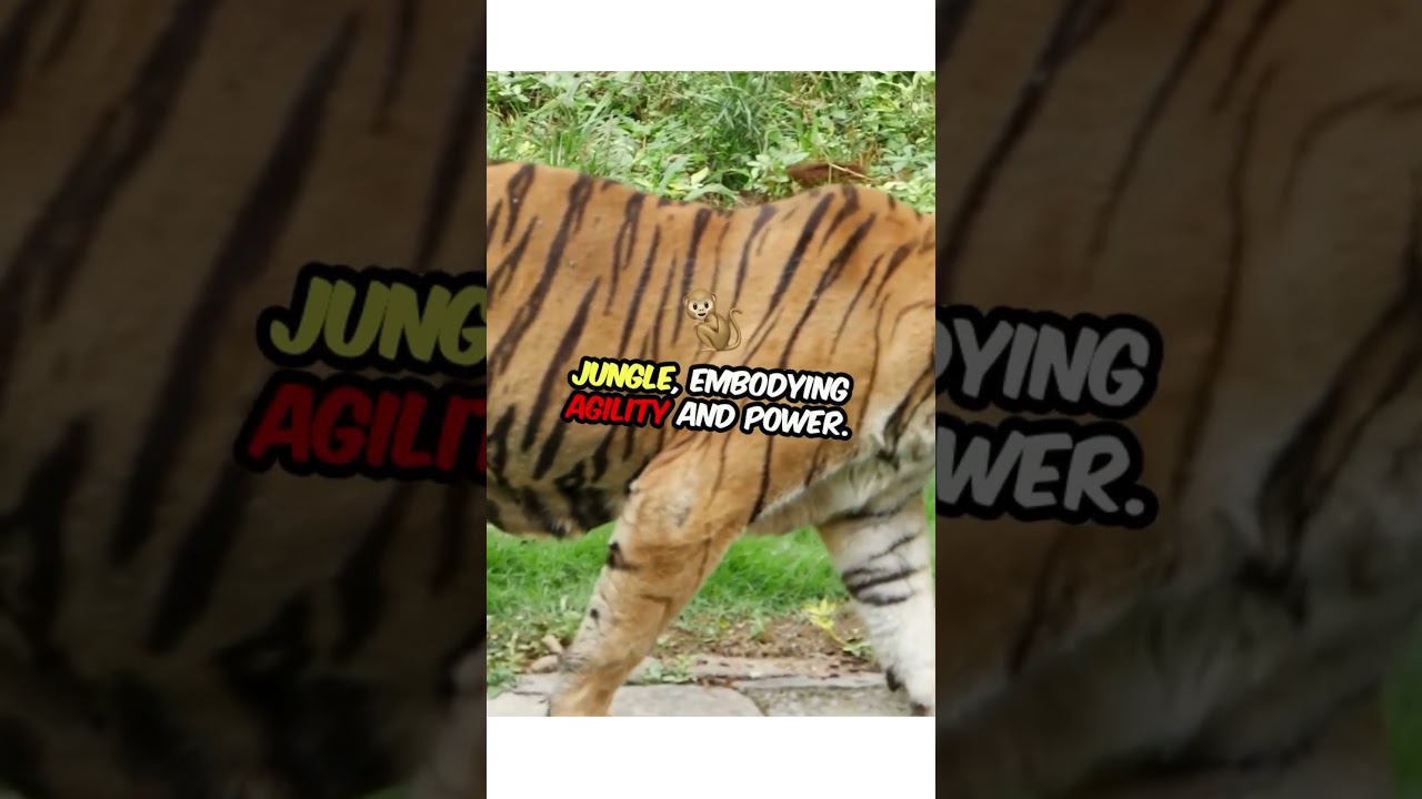 Lion vs Tiger: Epic Showdown!