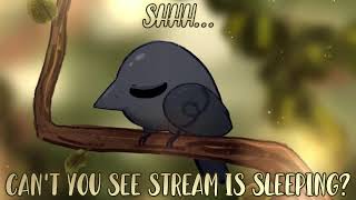 LIVE STREAM Back home Q-ZONE and COBBLE and hytale maybe