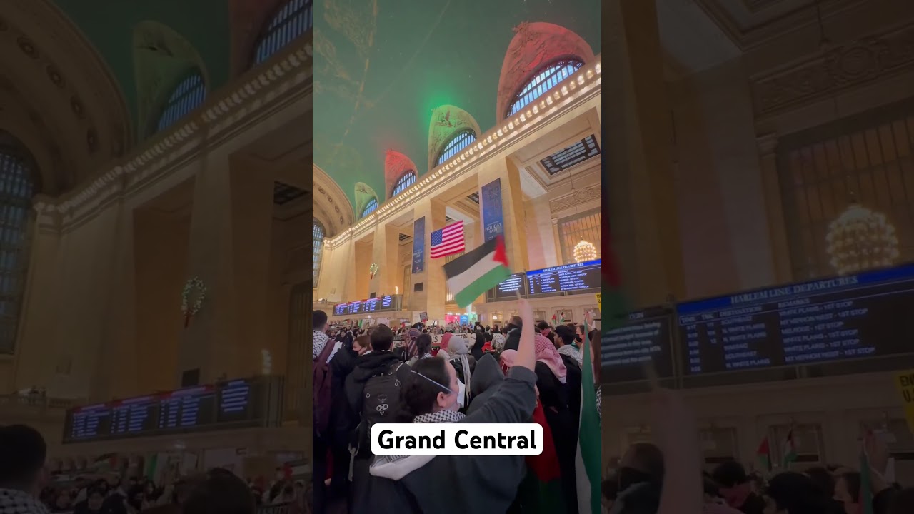 🇵🇸 Grand Central Occupation Pro Palestinian Protest New York
