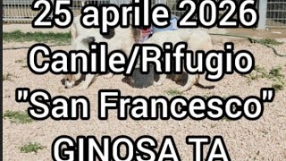 25 APRILE 2026: apriamo le gabbie del canile di Ginosa
