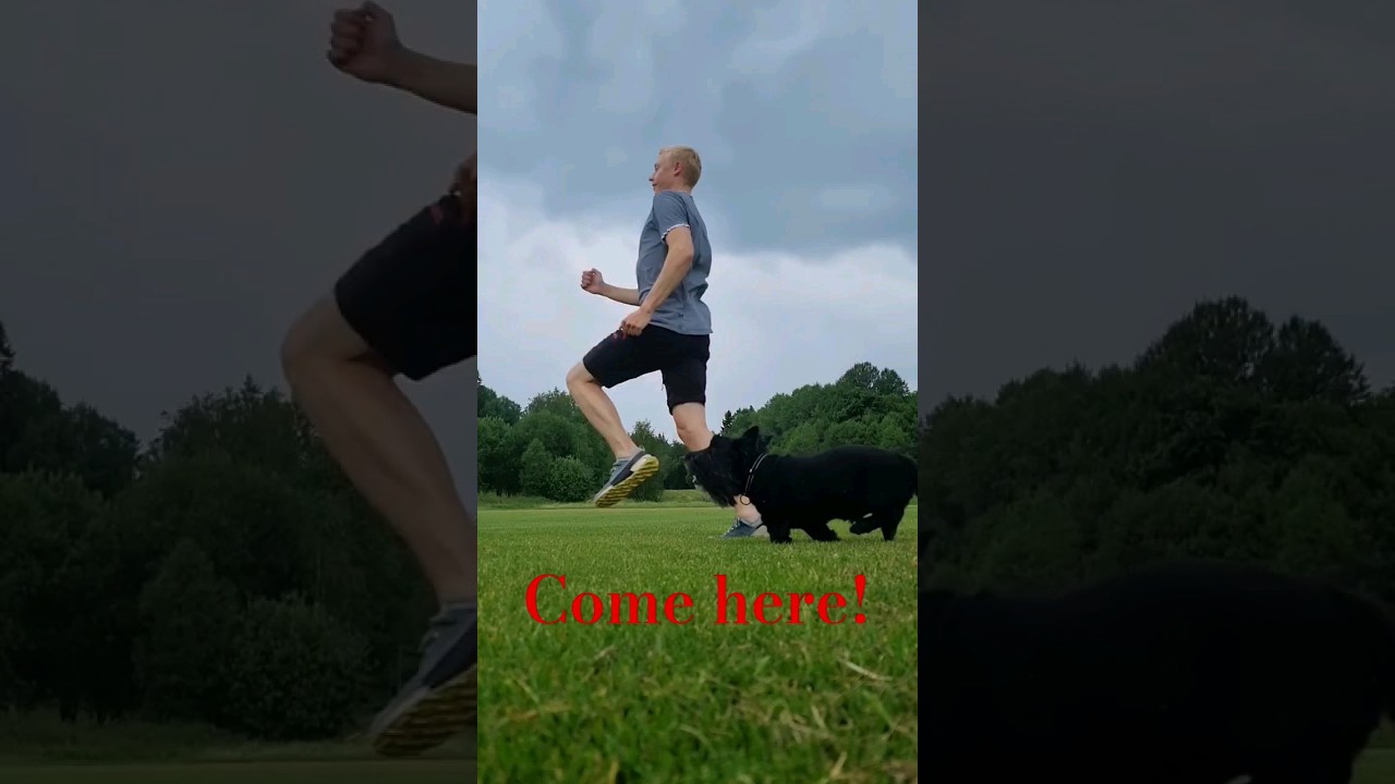 Fun game of tag again!😁    