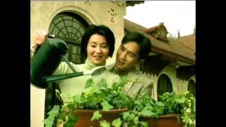 Video thumbnail of "花样年华 / 梁朝伟 & 张曼玉"