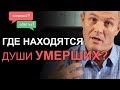 Где находятся души умерших? Отвечаю на ваши сложные вопросы. Александр Шевченко