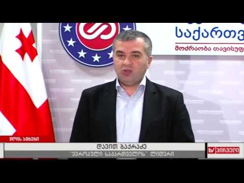 დავით ბაქრაძის ბრიფინგი
