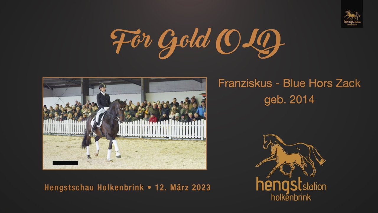 For Gold OLD *2014 - Hengstschau Holkenbrink