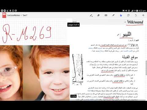 إبن العاصمة ضياع الامازيغي في جينات لواتة ليست سلفا لجينات صنهاجة