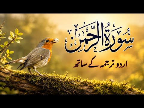 Surah Rahman Urdu Tarjuma k Sath Qari Al Sheikh Abdul Basit Abdul Samad Quran Karim Recitation