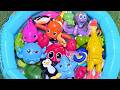 Sea Animals for Toddlers: Names &amp; Facts with Toys | Fun Ocean Creatures for Preschoolers