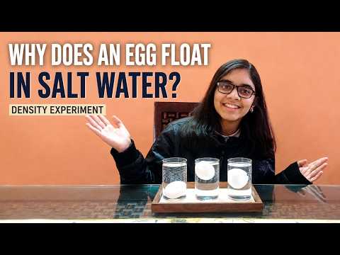 Floating Egg Experiment | Egg Density Experiment | Why Does an Egg Float in Salt Water?