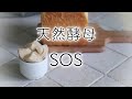 【天然酵母のSOS】様子が変な時の対処法8個【ルヴァン・元種】