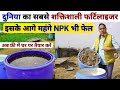    npk    organic fertilizer  mustard cake  jaggery uses in agriculture