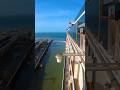 Sail to Alaska from San Francisco  #alaska #carnivalcruise #balcony #tracyarmfjord #capcutedit