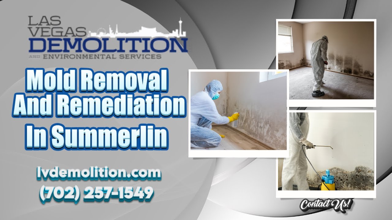 Mold Removal And Remediation In Summerlin | Las Vegas Demolition, LLC®