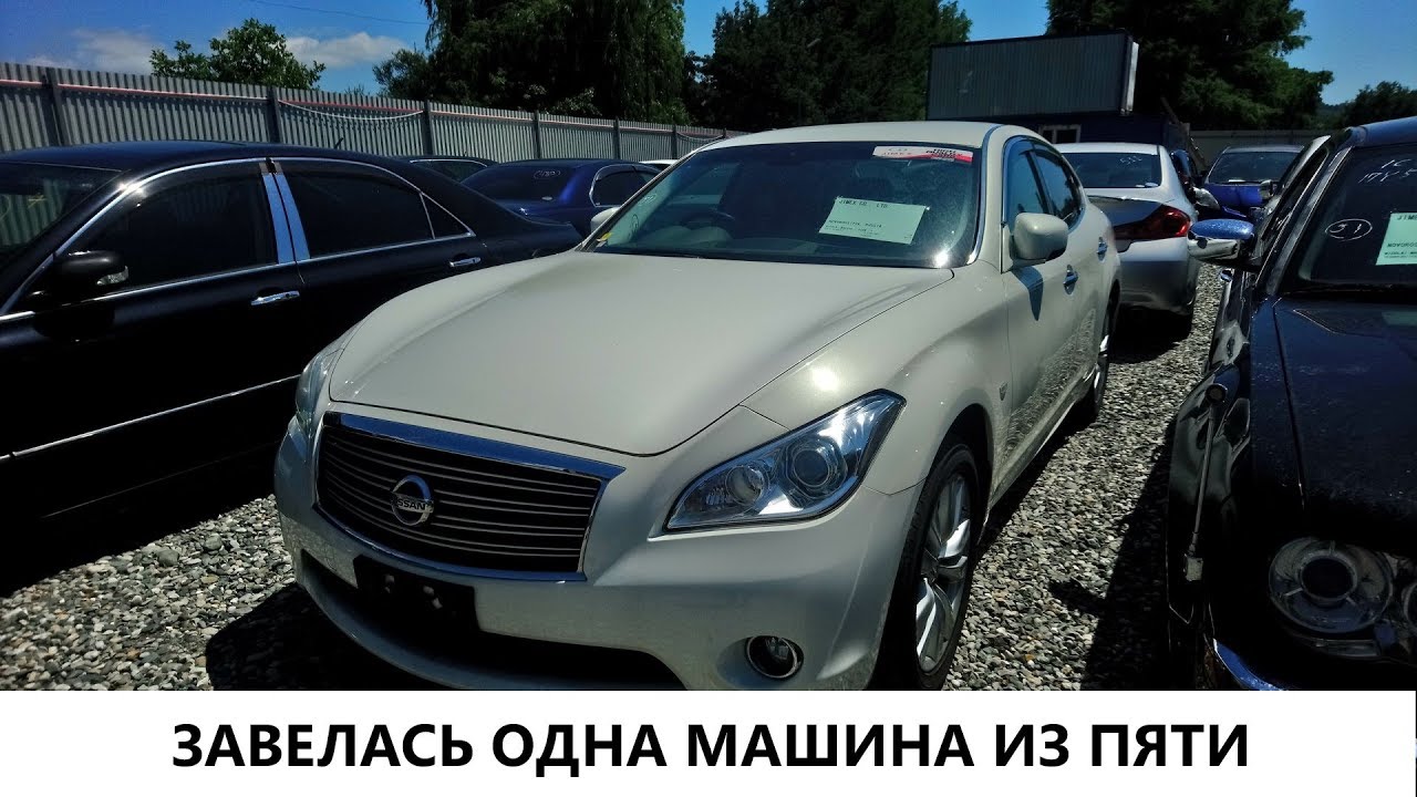 Ниссан фуга 51