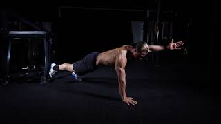 Contralateral Single Arm Single Leg Plank
