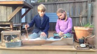Beach Erosion Backyard Science Demo