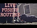 Calisthenics Pushup Routine | Live Q&amp;A