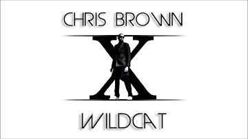 Chris Brown - Wildcat (New Song 2014)