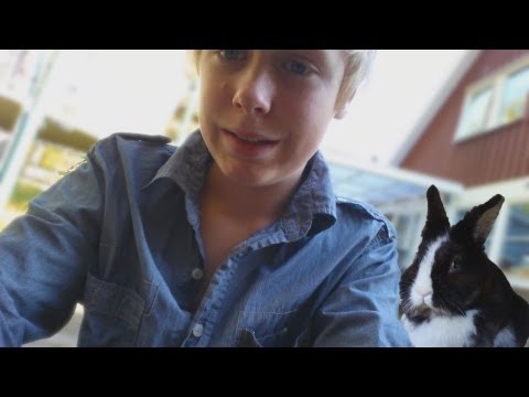 Video: Varför är Min Kanin Så Fet? Kontrollera Ditt Lilla Djurs Vikt