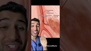 How This One Normal Workout Put This Woman in Hospital #exercise Rhabdomyolysis is a rare but seriou