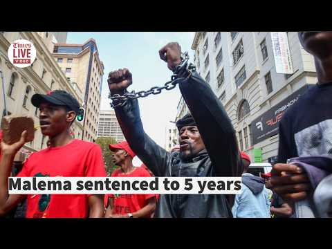 Julius Malema sentencing and appeal