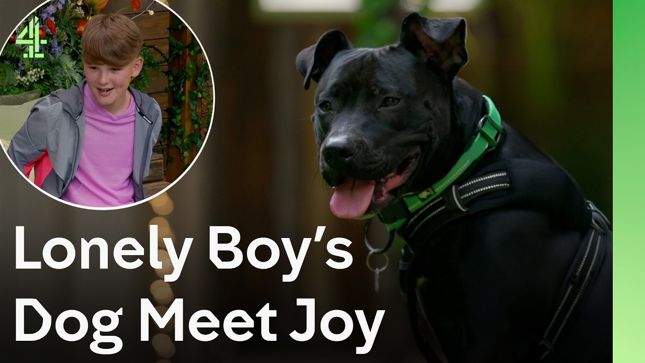 Playful Dog Melts Boy's Heart | The Dog House 🐶