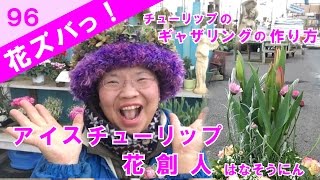 冷蔵処理で早く咲く チューリップで春を先取りギャザリングの作り方 花ズバっ 96旬の花とその使いかた紹介 花創人ガーデニング教室 Youtube