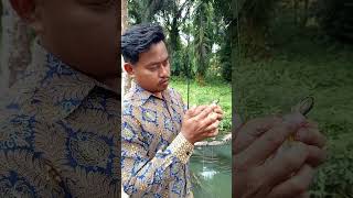 Action test Lure toman #fishing #handmadelure #mancing #lure #mancingmania #mancingikan