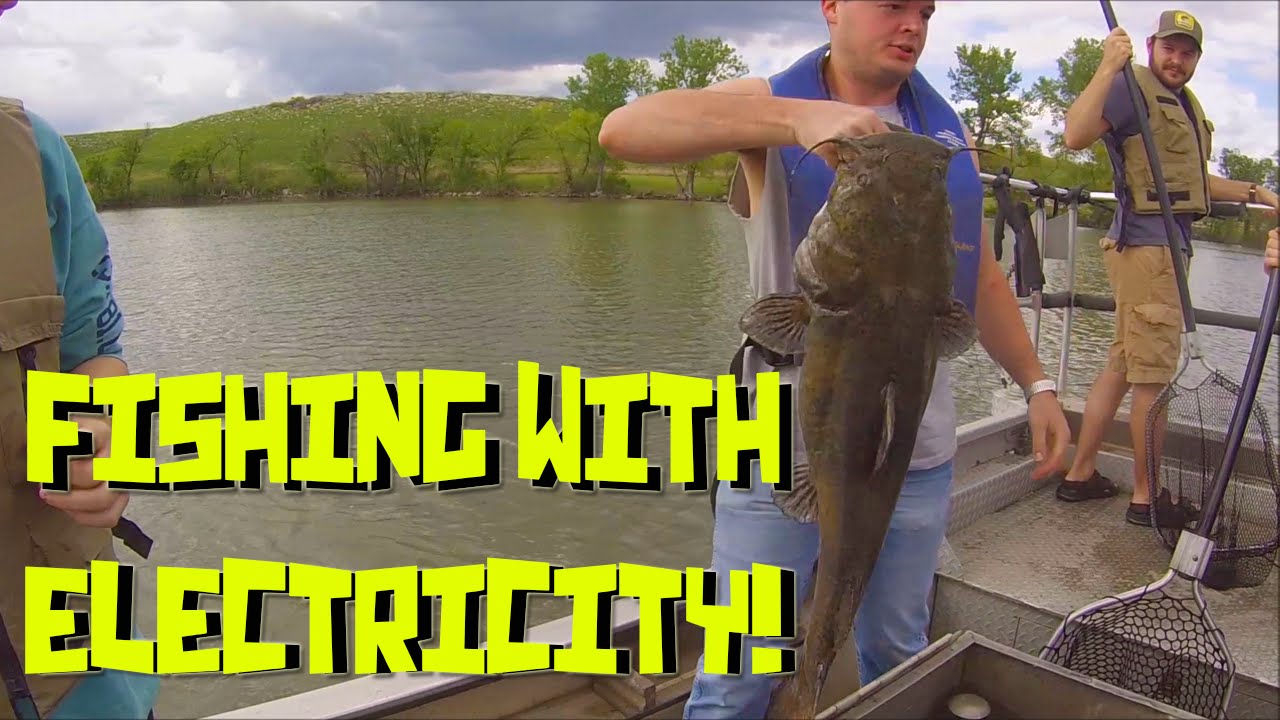 Fishing With Electricity! Warning! Big Flathead! YouTube