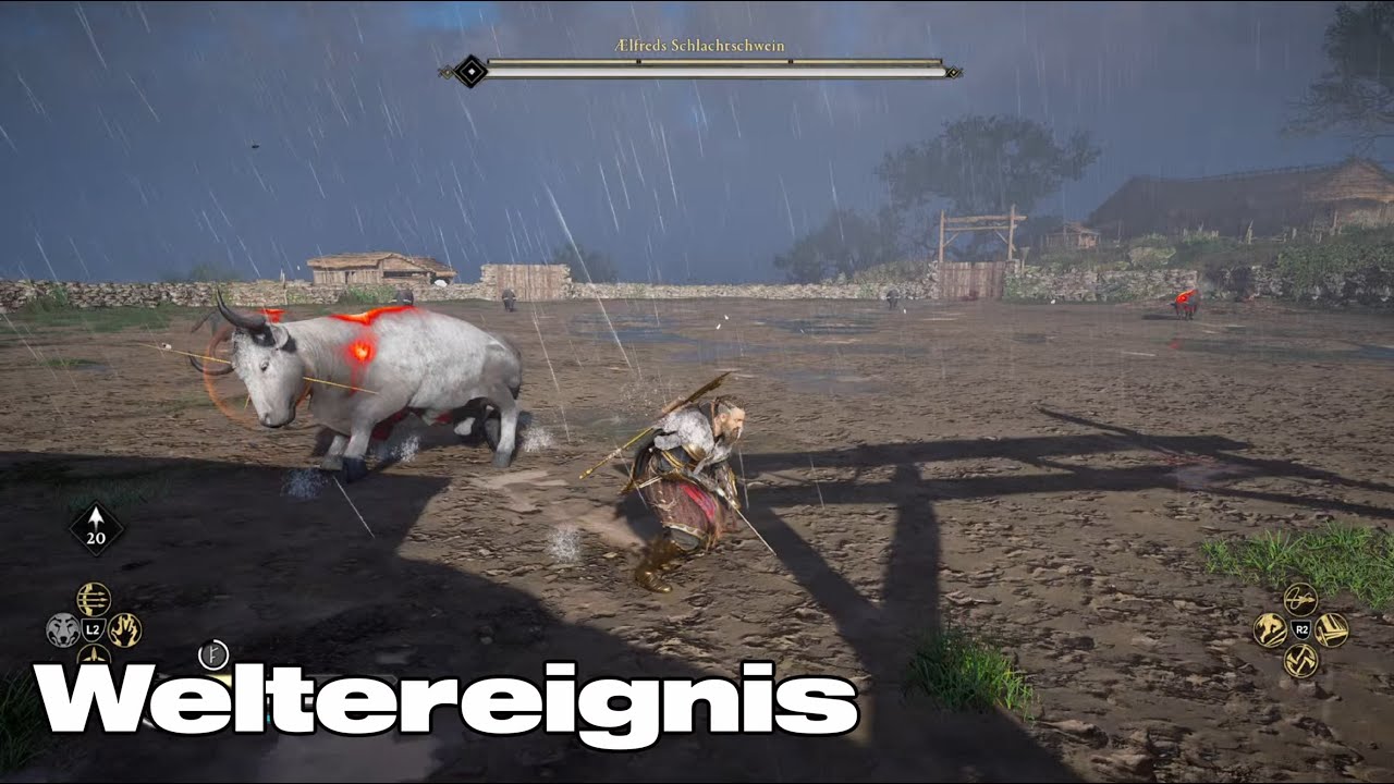 Assassins Creed Valhalla - Weltereignis Aelfreds Schlachtschwein / Lösung / Gameplay Deutsch