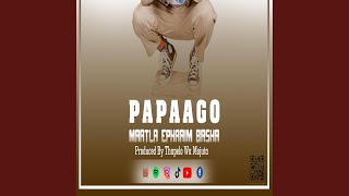 PAPAAGO