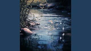 Stream Harmony Sunset Echo