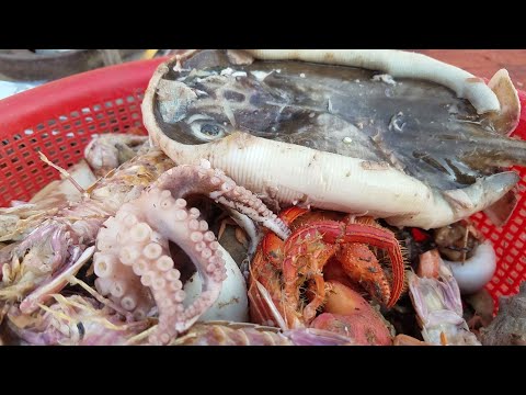 GHE LÊN • Nhậu ''Sương Sương'' toàn Hải Sản Tươi Sống | Ngư Dân Miền Tây