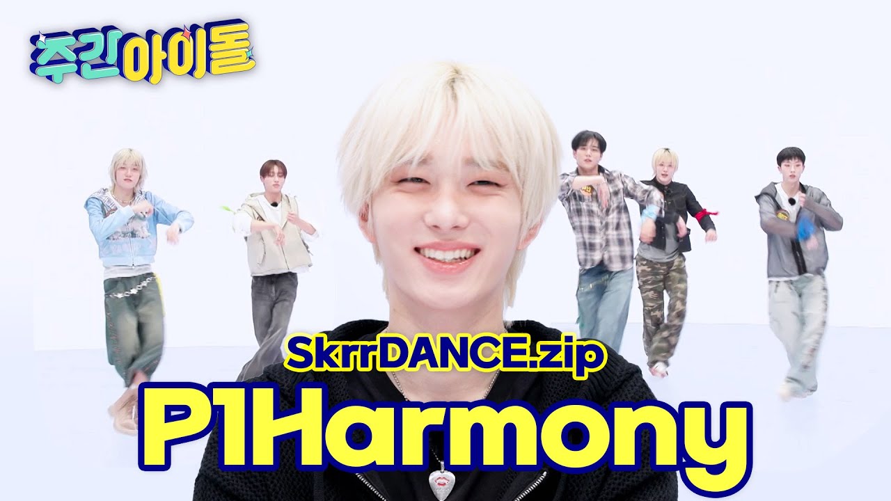 [SkrrDANCE.zip] 때깔부터 남다른 하모니들★ 냉장고 협상 스껄~댄 DUH! 개크게 시작  l RandomPlayDance